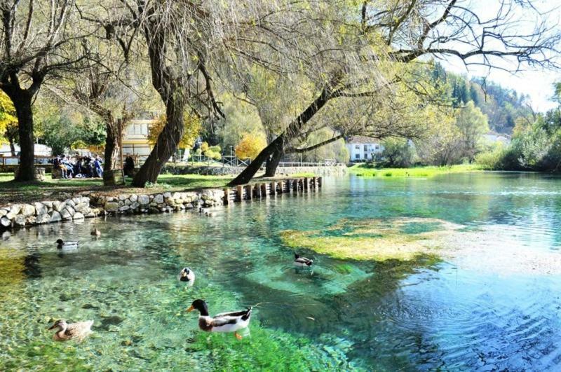 فندق Olimpus سورا المظهر الخارجي الصورة